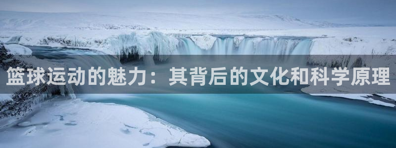 篮球运动的魅力：其背后的文化和科学原理
