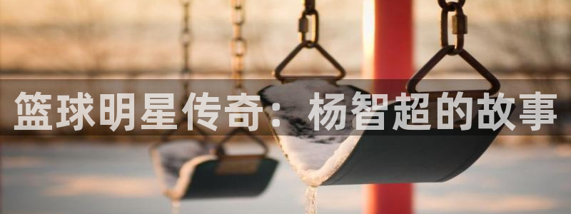 篮球明星传奇：杨智超的故事