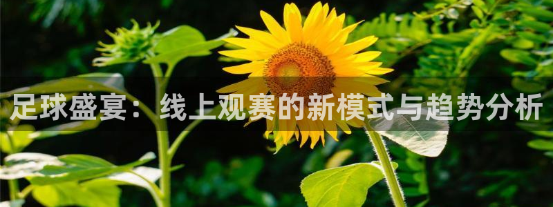 足球盛宴：线上观赛的新模式与趋势分析