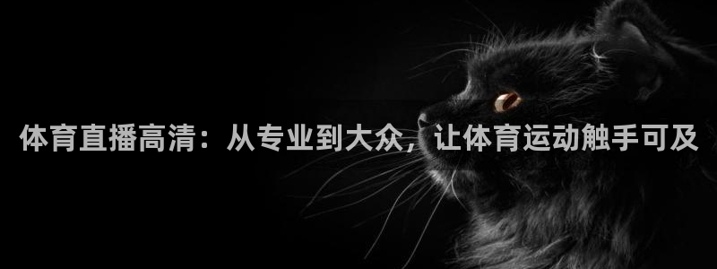 体育直播高清：从专业到大众，让体育运动触手可及