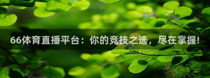 66体育直播平台：你的竞技之选，尽在掌握!