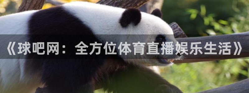 《球吧网：全方位体育直播娱乐生活》