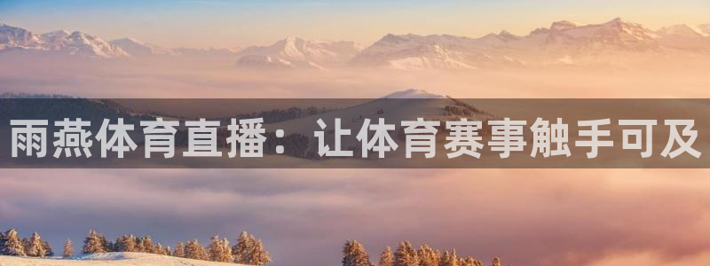 雨燕体育直播：让体育赛事触手可及