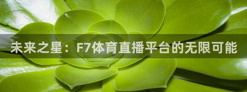 未来之星：F7体育直播平台的无限可能