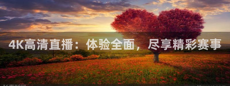 4K高清直播：体验全面，尽享精彩赛事