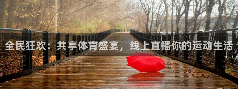 全民狂欢：共享体育盛宴，线上直播你的运动生活