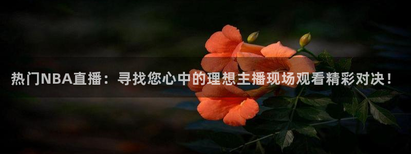 热门NBA直播：寻找您心中的理想主播现场观看精彩对决！