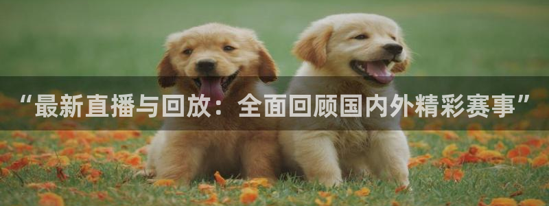 “最新直播与回放：全面回顾国内外精彩赛事”