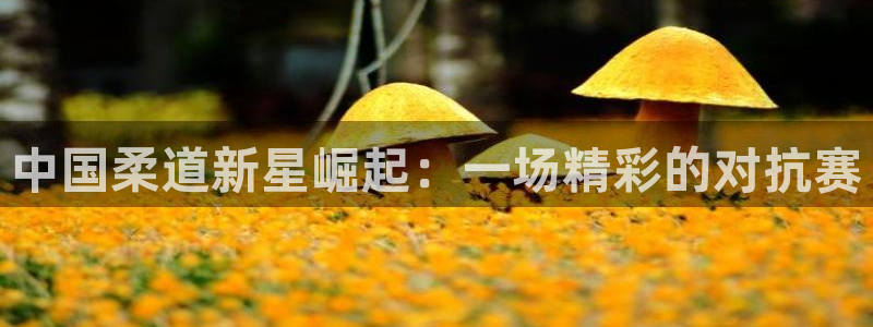 中国柔道新星崛起：一场精彩的对抗赛
