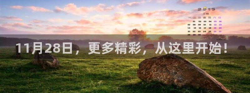 11月28日，更多精彩，从这里开始！