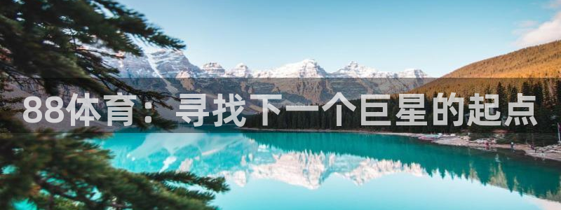 88体育：寻找下一个巨星的起点