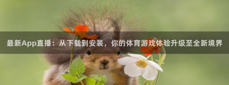 最新App直播：从下载到安装，你的体育游戏体验升级至全新境界