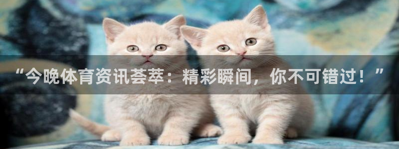 “今晚体育资讯荟萃：精彩瞬间，你不可错过！”