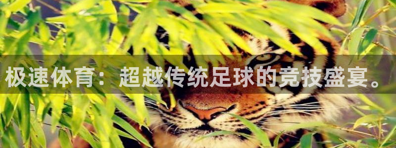 极速体育：超越传统足球的竞技盛宴。