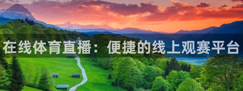 在线体育直播：便捷的线上观赛平台
