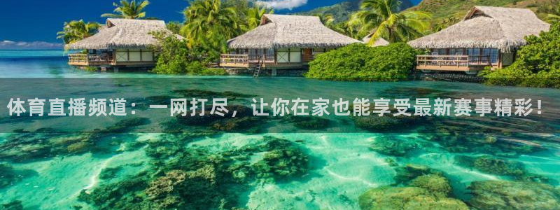 体育直播频道：一网打尽，让你在家也能享受最新赛事精彩！