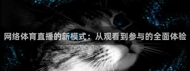 网络体育直播的新模式：从观看到参与的全面体验