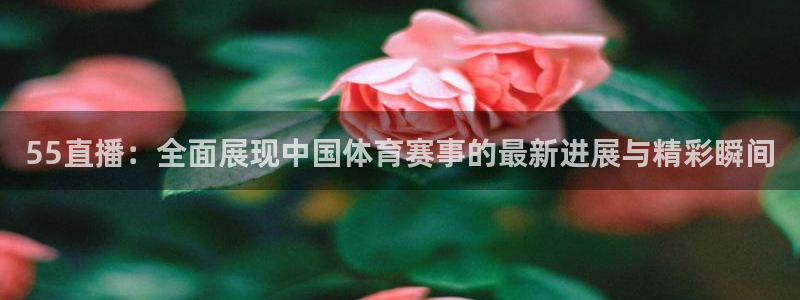 55直播：全面展现中国体育赛事的最新进展与精彩瞬间