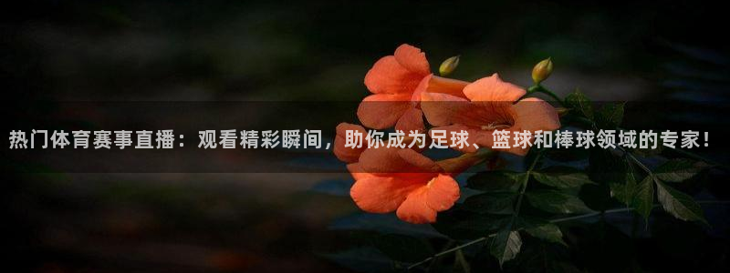 热门体育赛事直播：观看精彩瞬间，助你成为足球、篮球和棒球领域的专家！