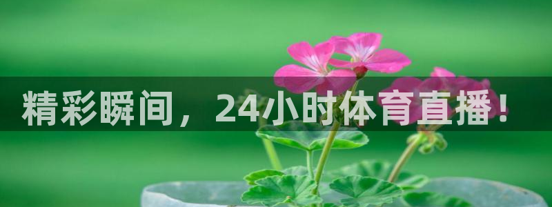精彩瞬间，24小时体育直播！