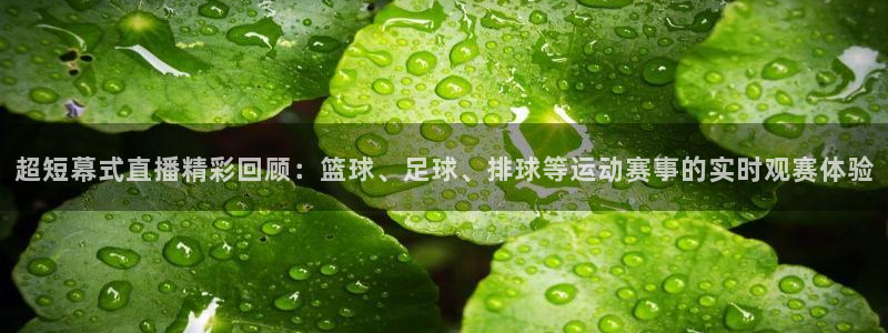 超短幕式直播精彩回顾：篮球、足球、排球等运动赛事的实时观赛体验