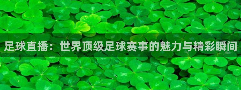 足球直播：世界顶级足球赛事的魅力与精彩瞬间