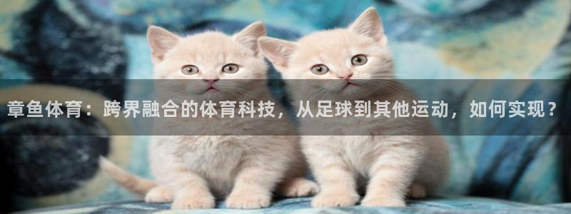 章鱼体育：跨界融合的体育科技，从足球到其他运动，如何实现？