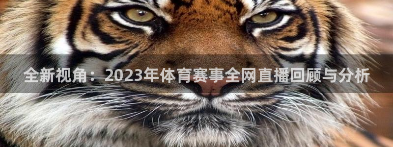 全新视角：2023年体育赛事全网直播回顾与分析