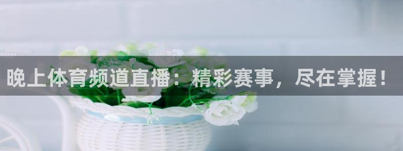 晚上体育频道直播：精彩赛事，尽在掌握！