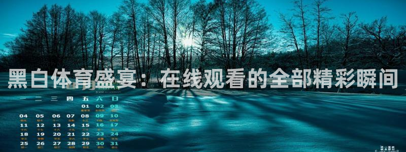 黑白体育盛宴：在线观看的全部精彩瞬间