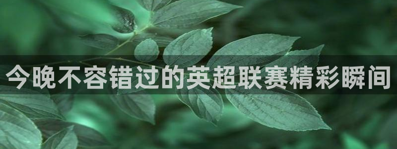 今晚不容错过的英超联赛精彩瞬间
