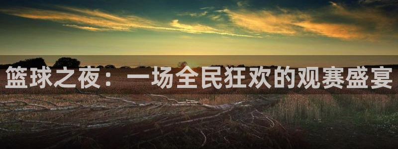 篮球之夜：一场全民狂欢的观赛盛宴