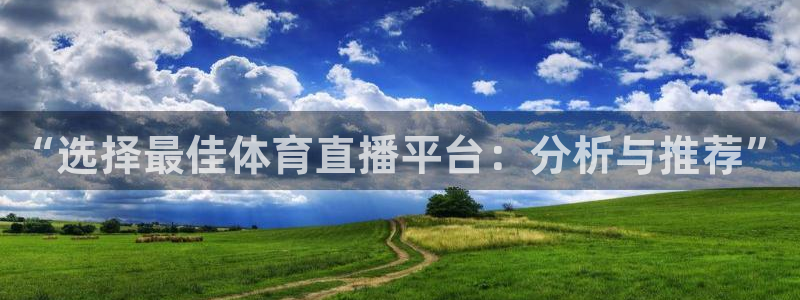 “选择最佳体育直播平台：分析与推荐”